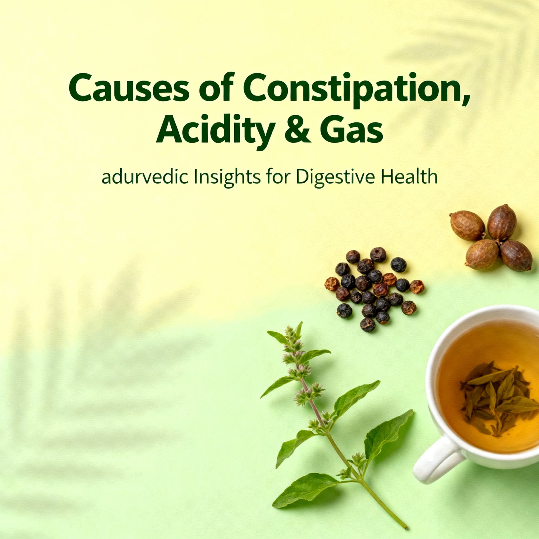 Causes of constipation, acidity & gas