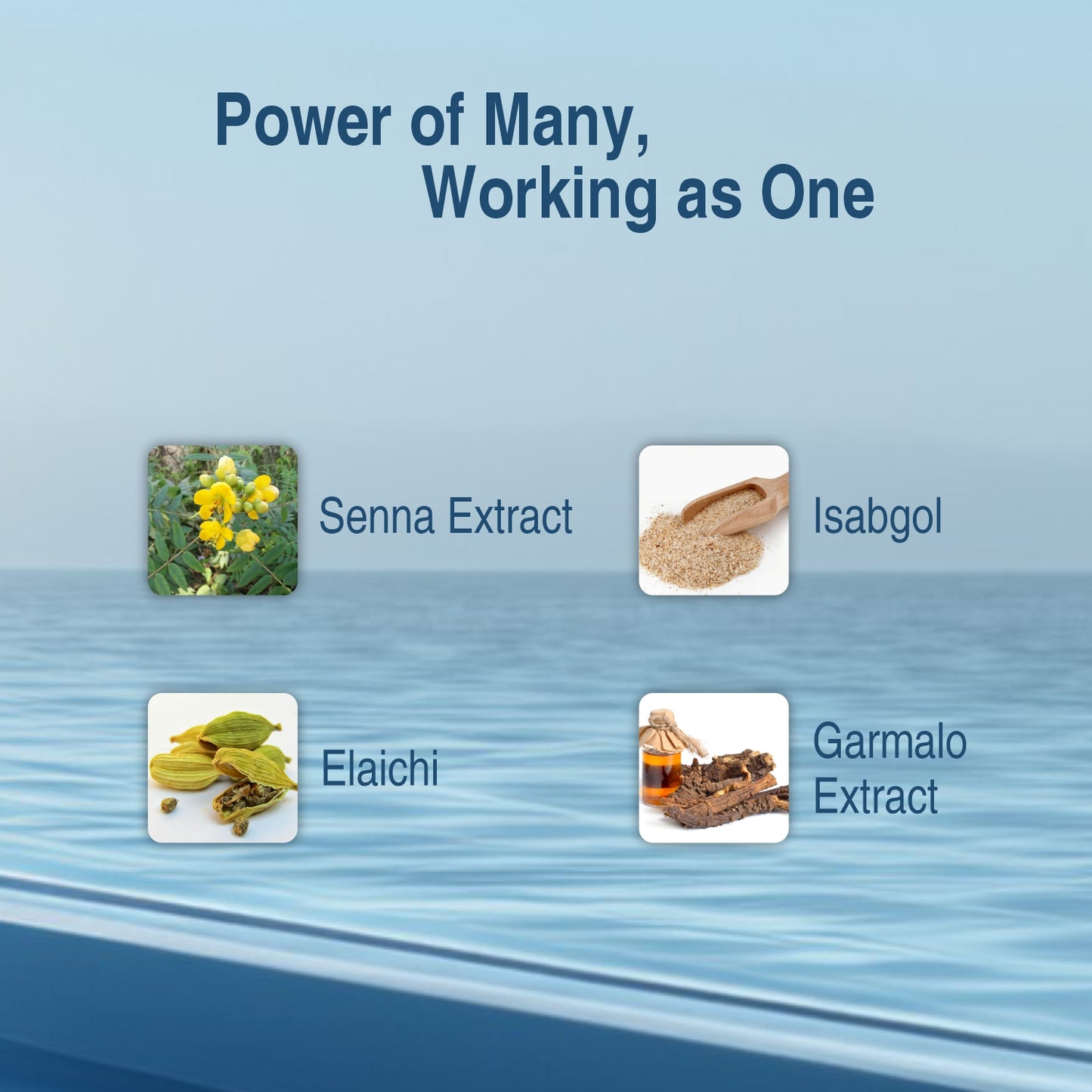 Sheth Brothers Stulout made of four powerful ingredients like Senna, Isabgol, Elaichi and Garmalo Extract.