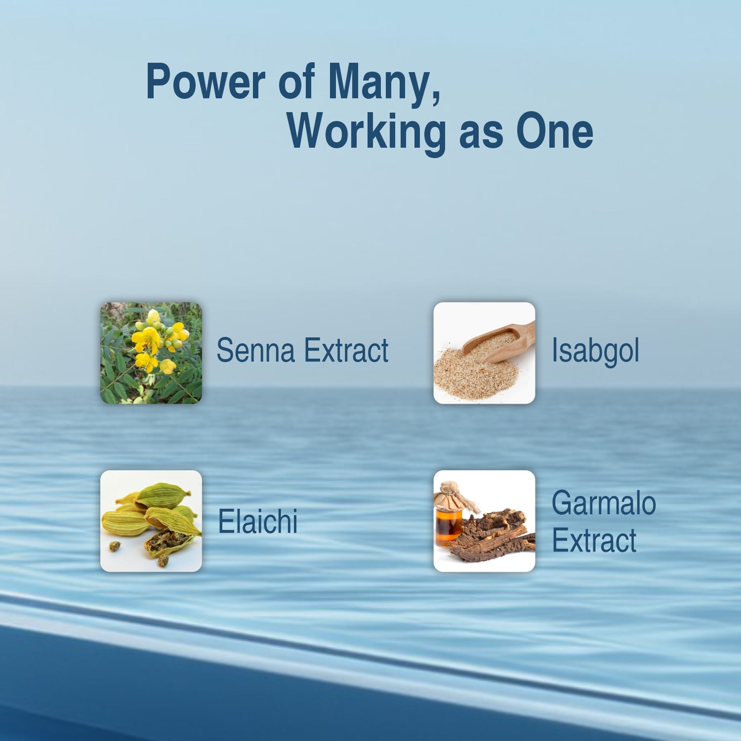 Sheth Brothers Stulout made of four powerful ingredients like Senna, Isabgol, Elaichi and Garmalo Extract.